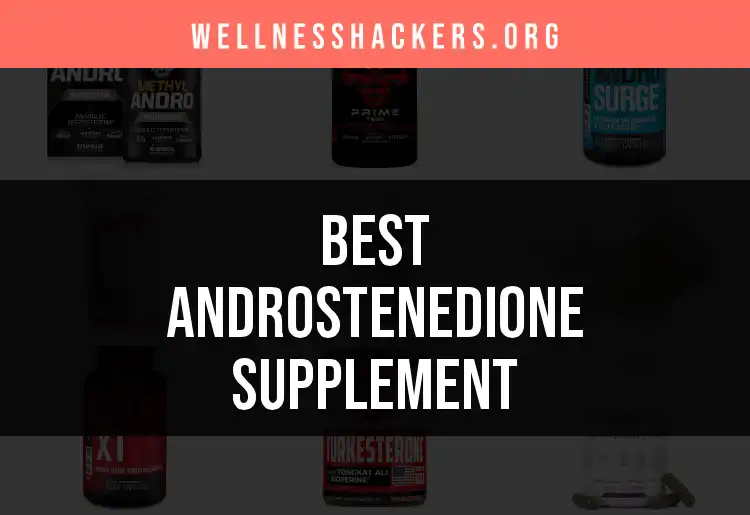17 Top Androstenedione Supplements for Maximum Gains featured