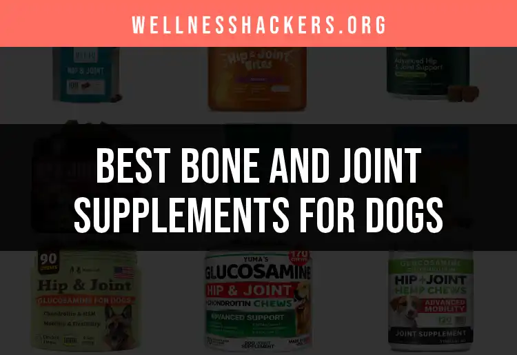 16 Top Bone and Joint Supplements for Dogs