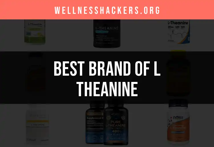 12 Best Brands of L Theanine for Calm Focus featured