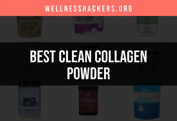 19 Clean Collagen Powders We Recommend featured