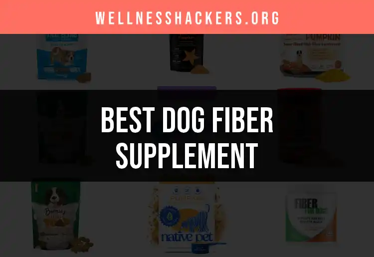 16 Top Dog Fiber Supplements for Healthy Digestion featured