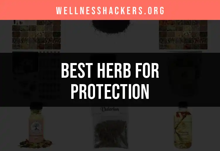 11 Potent Herbs for Protection You Need to Know