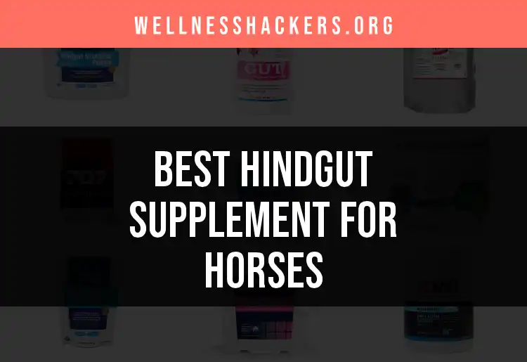 15 Hindgut Supplements for Horses You Can Trust featured