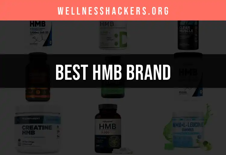 17 Top HMB Brand Picks for Optimal Gains featured