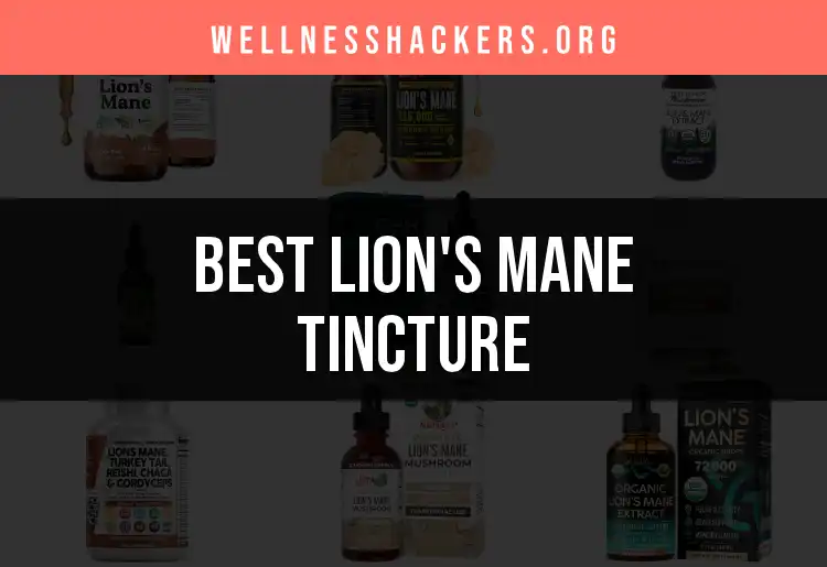 14 Finest Lion's Mane Tinctures for Brain Boosts featured