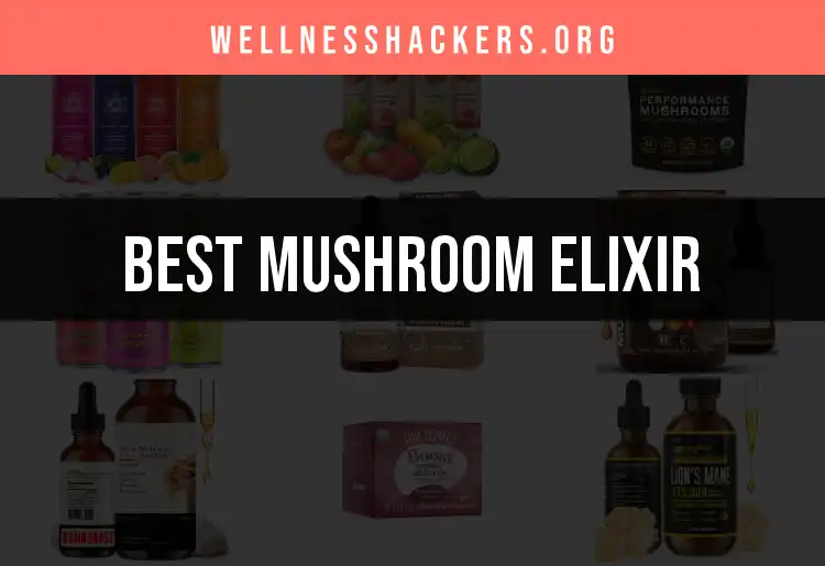 12 Mushroom Elixirs That Boost Your Vitality featured
