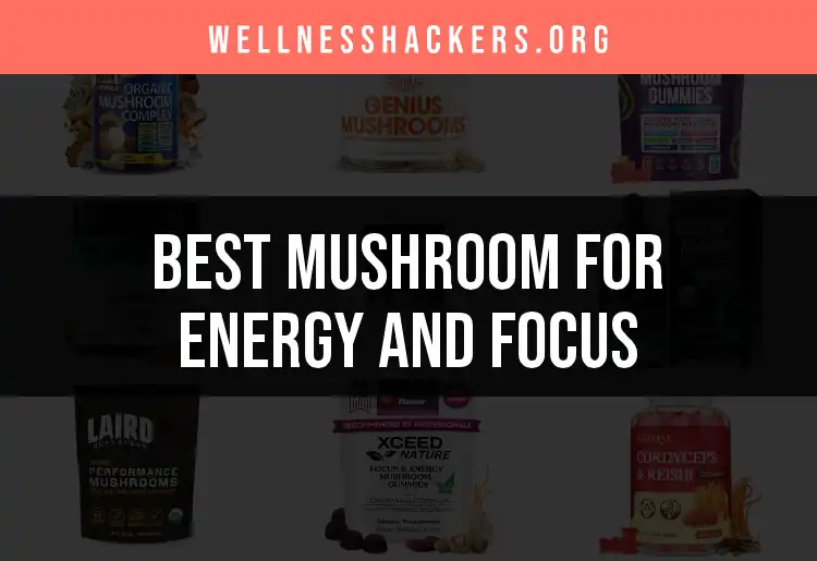 17 Mushrooms for Energy and Focus You Need to Try featured