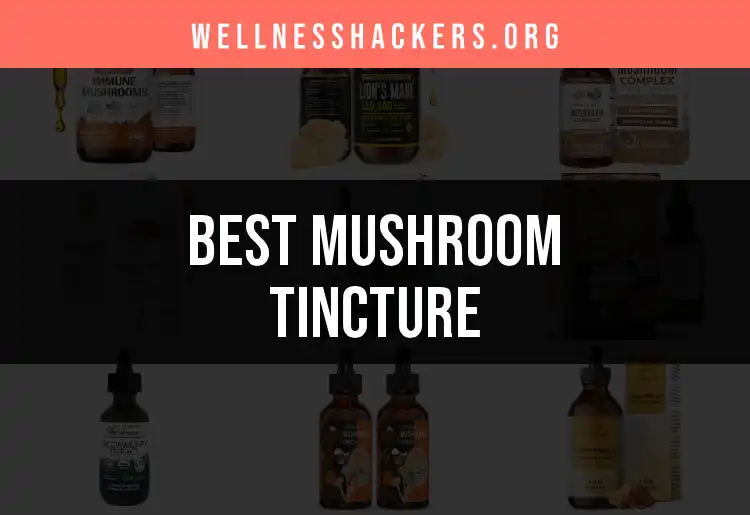 17 Must-Know Mushroom Tinctures for Wellness featured