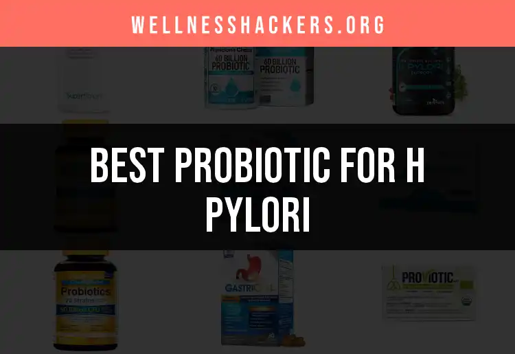 20 Probiotic for H Pylori: Top Picks for Gut Wellness featured
