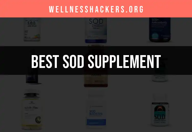 11 Top SOD Supplements for Optimal Cell Defense featured